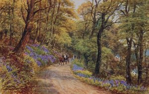 Hobby Drive, Clovelly (kolor lito) autorstwa Alfred Robert Quinton