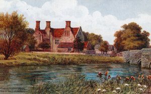 Dwór, Wełna, (Tessa z D