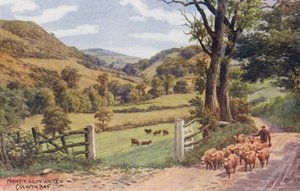 Nant Y Glyn Valley, Colwyn Bay (druk kolorowy)