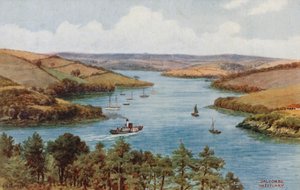 Salcombe, ujście