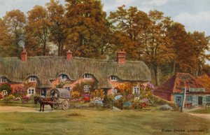 Swan Green, Lyndhurst autorstwa Alfred Robert Quinton