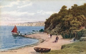 Plaża, Studland autorstwa Alfred Robert Quinton