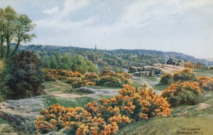 Wspólne, Tunbridge Wells autorstwa Alfred Robert Quinton
