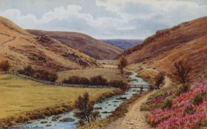 Doone Glen, Lynton autorstwa Alfred Robert Quinton