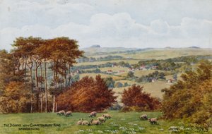 The Downs z Chantonbury Ring, Nr Worthing autorstwa Alfred Robert Quinton
