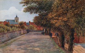 Mury wschodnie, Chichester autorstwa Alfred Robert Quinton