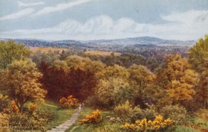 Szczęśliwa Dolina, Tunbridge Wells