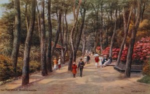 Spacer po sosnach, Bournemouth autorstwa Alfred Robert Quinton