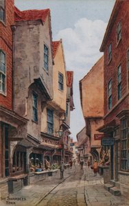 Jaszczurki, York autorstwa Alfred Robert Quinton