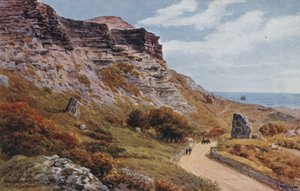 Undercliff, Niton, ja z Wight autorstwa Alfred Robert Quinton