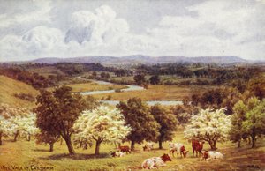 Dolina Evesham autorstwa Alfred Robert Quinton