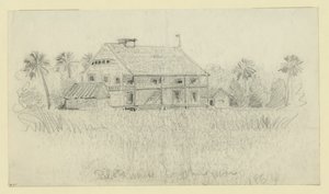 Dom pilotów rzeka St. Johns autorstwa Alfred Rudolph Waud