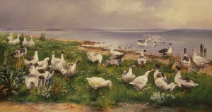 Gęsi autorstwa Alfred Schonian