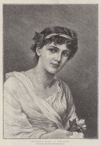 Hortensja autorstwa Alfred Seifert