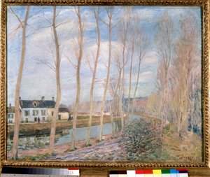 Obraz Kanał Loing autorstwa Alfreda Sisleya (1839-1899) 1892 Nd. 0,73x0,93 m Paryż, Muzeum Orsay autorstwa Alfred Sisley