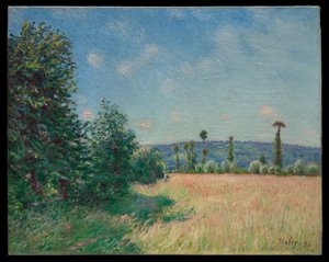 Łąki w Sahurs w porannym słońcu autorstwa Alfred Sisley