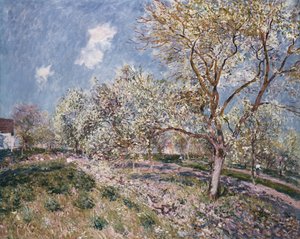 Wiosna w Veneux, 1880 autorstwa Alfred Sisley