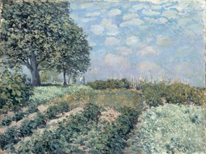 Ogrody Targowe autorstwa Alfred Sisley
