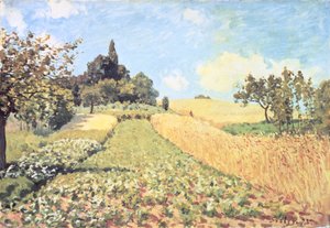 Pole Pszenicy (olej na płótnie) autorstwa Alfred Sisley