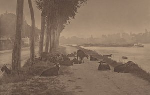  autorstwa Alfred Stieglitz