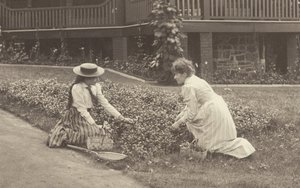 Klomb w Oaklawn autorstwa Alfred Stieglitz