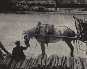 Migawka, Paryż autorstwa Alfred Stieglitz
