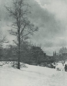 Zimowe niebo — Central Park autorstwa Alfred Stieglitz