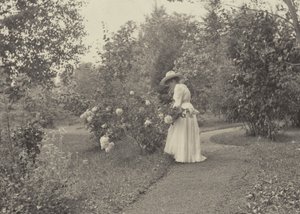 W Oaklawn autorstwa Alfred Stieglitz
