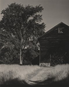  autorstwa Alfred Stieglitz