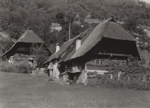  autorstwa Alfred Stieglitz