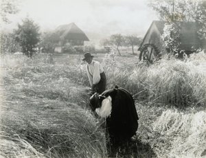 Wczesny poranek autorstwa Alfred Stieglitz