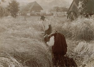 Wczesny poranek autorstwa Alfred Stieglitz