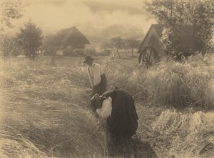Wczesny poranek autorstwa Alfred Stieglitz