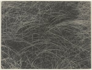 Równowartość autorstwa Alfred Stieglitz