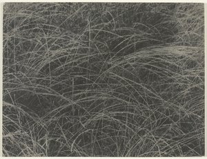 Odpowiednik, 1927. autorstwa Alfred Stieglitz