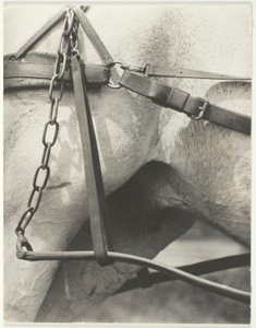 Odpowiednik, Duchowa Ameryka autorstwa Alfred Stieglitz
