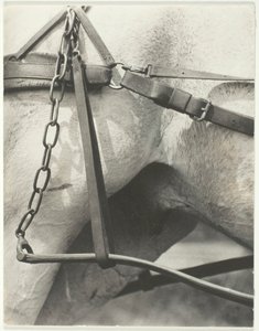 Odpowiednik, Duchowa Ameryka, 1923. autorstwa Alfred Stieglitz