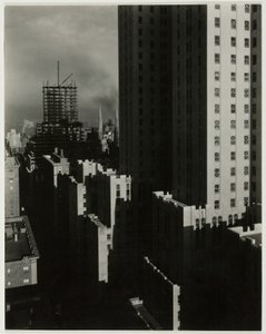 Z mojego okna w Shelton, West, 1931. autorstwa Alfred Stieglitz