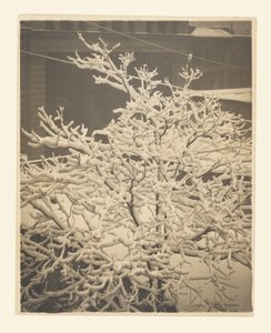 Z tylnego okna budynku nr 291 autorstwa Alfred Stieglitz