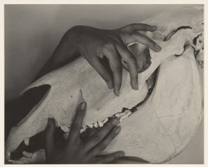  autorstwa Alfred Stieglitz