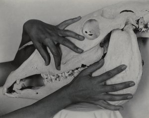  autorstwa Alfred Stieglitz