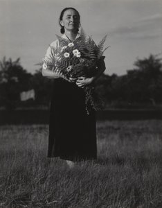 Georgia O’Keeffe autorstwa Alfred Stieglitz