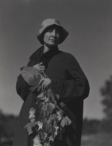 Georgia O’Keeffe autorstwa Alfred Stieglitz