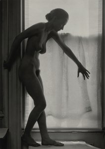 Georgia O’Keeffe autorstwa Alfred Stieglitz