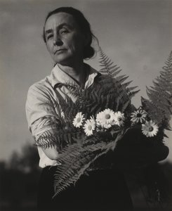Georgia O’Keeffe autorstwa Alfred Stieglitz