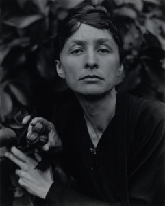 Georgia O’Keeffe autorstwa Alfred Stieglitz