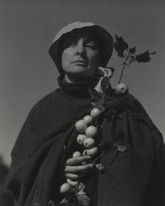  autorstwa Alfred Stieglitz