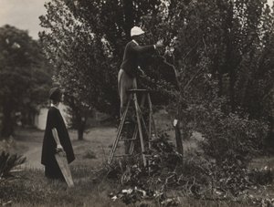  autorstwa Alfred Stieglitz