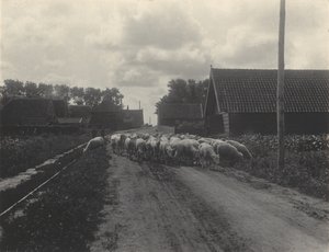  autorstwa Alfred Stieglitz