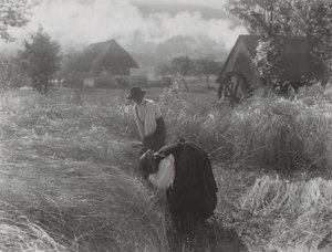  autorstwa Alfred Stieglitz